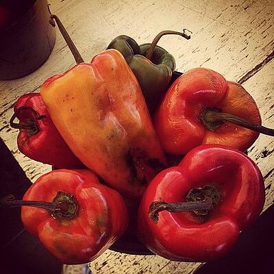 Wall Art - Photograph - Instagram Photo #61340830351 by Elizabeth Hoskinson