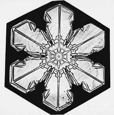 Wall Art - Photograph - Snowflake #62 by Science Source