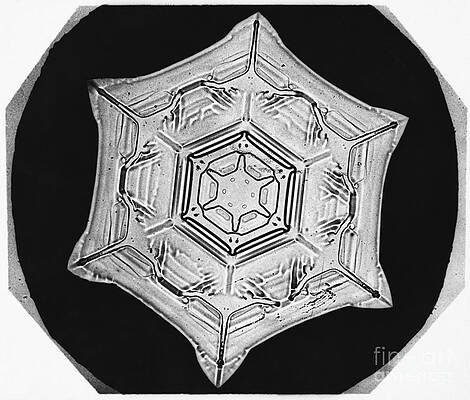Wall Art - Photograph - Snowflake #63 by Science Source