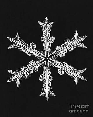 Wall Art - Photograph - Snowflake #64 by Science Source