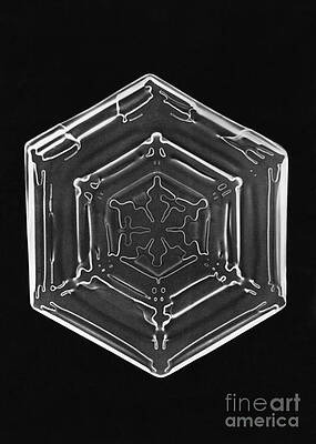 Wall Art - Photograph - Snowflake #66 by Science Source