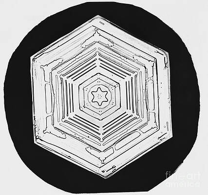 Wall Art - Photograph - Snowflake #68 by Science Source