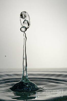 Wall Art - Photograph - Splashing Water Droplet #7 by Sami Sarkis Photography
