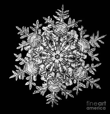 Wall Art - Photograph - Snowflake #38 by Science Source