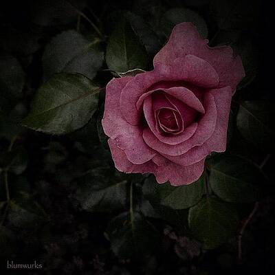 Wall Art - Photograph - A Brief Pause by Matthew Blum