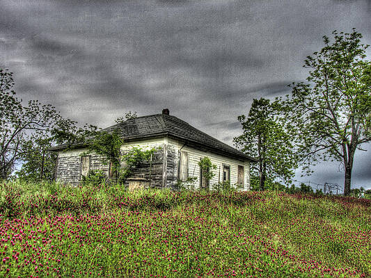 Wall Art - Photograph - A Carpet of Red Clover by William Fields