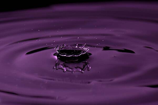 Photograph - A Drop in the Bucket by Stephen Thomason