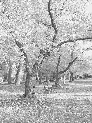 A Fall Day In Black and White by Emery Graham A Fall Day In Black and White by Emery Graham