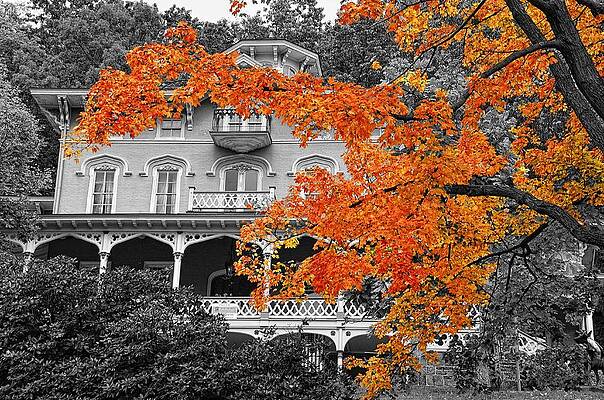 Wall Art - Photograph - A little touch of color at the The Asa Packer Mansion  by Dave Sandt