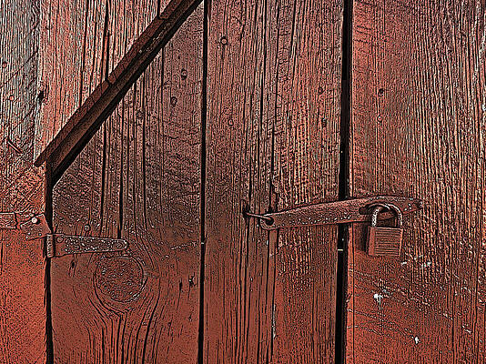 Wall Art - Photograph - A Study in Red by William Fields