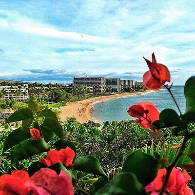 Wall Art - Photograph - A View Of Sheraton Maui Beach Resort by Raffaele Salera