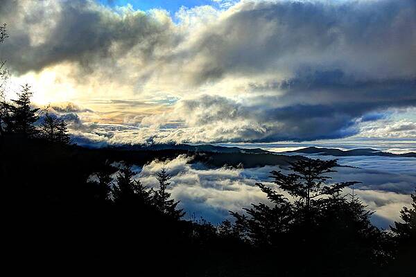 Wall Art - Photograph - Above Below and Beyond by Doug McPherson