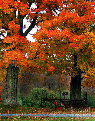 Adirondack Palette by Diane E Berry Adirondack Palette by Diane E Berry