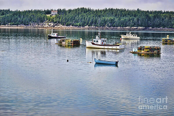 Afloat by Traci Cottingham Afloat by Traci Cottingham