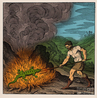 Wall Art - Photograph - Alchemist Roasting Salamander by Science Source