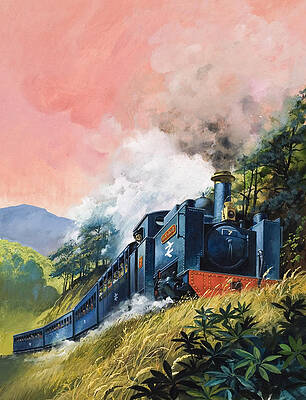 Wall Art - Painting - All Aboard for Devil's Bridge by English School