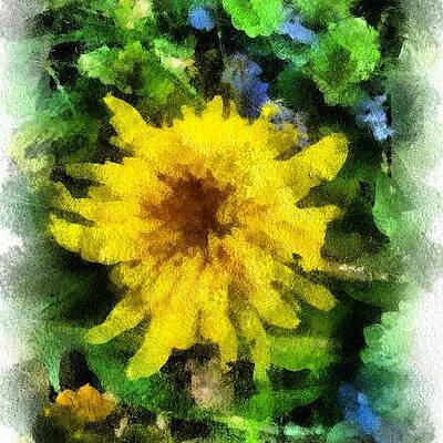 Wall Art - Photograph - all That Glitters Isn't Gold by Carrie Mroczkowski