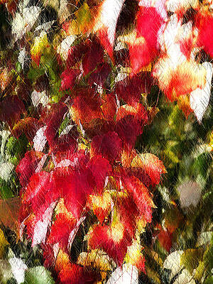 Wall Art - Photograph - All Too Soon by Rory Siegel