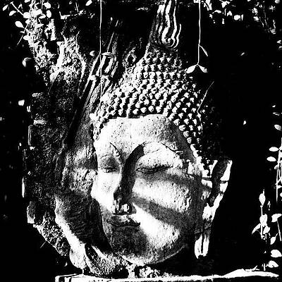 Wall Art - Photograph - All Understanding Begins With Our Not by A Rey