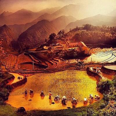 Wall Art - Photograph - An Extraordinary Photo Of A by Huy Nguyen