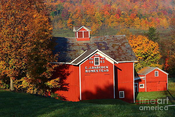 An Historic Barn on a Fall Day by Babcock Homestead Photography