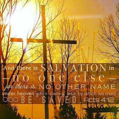Wall Art - Photograph - and There Is Salvation In No One by Traci Beeson