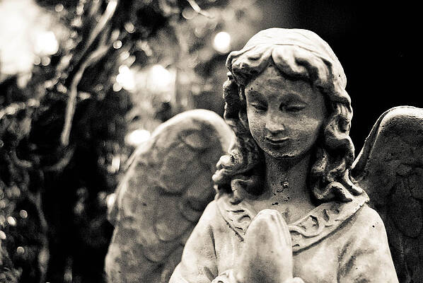 Angel by Brian Benson