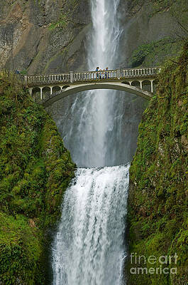 Wall Art - Photograph - Arch Bridge and Multnomah Falls by Ted J Clutter and Photo Researchers