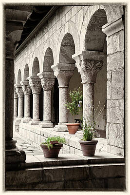Arches and Columns by Roni Chastain Arches and Columns by Roni Chastain