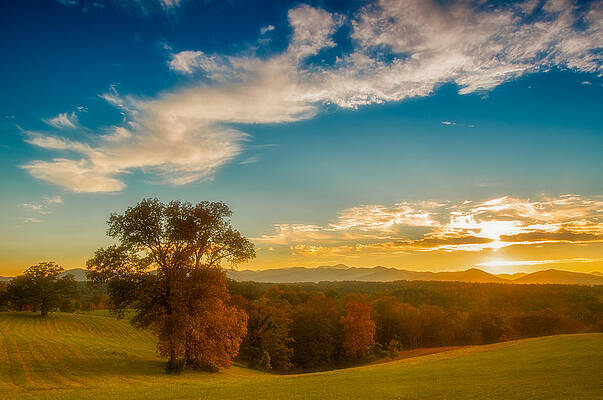 Wall Art - Photograph - Autumn Trees by Joye Ardyn Durham