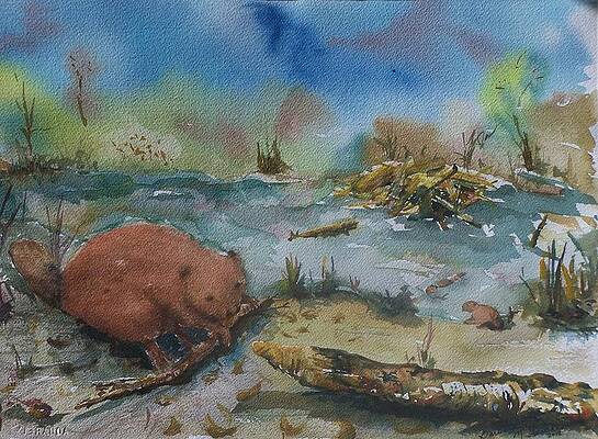 Baby Beaver I by Barbara McGeachen Baby Beaver I by Barbara McGeachen