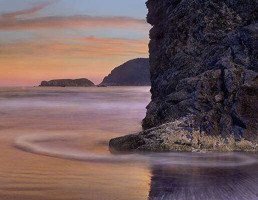 Wall Art - Photograph - Barnacle Covered Seastack At Sunset by Tim Fitzharris