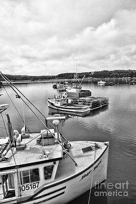 Bay Life by Traci Cottingham Bay Life by Traci Cottingham