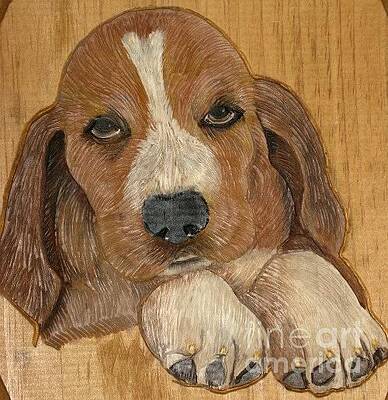Beagle by John  Lang