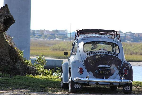Beatle by Static Studios