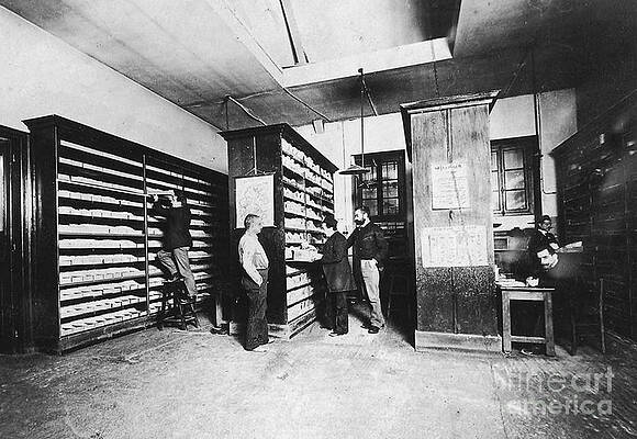 Wall Art - Photograph - Bertillons Filing System, 19th Century by Science Source