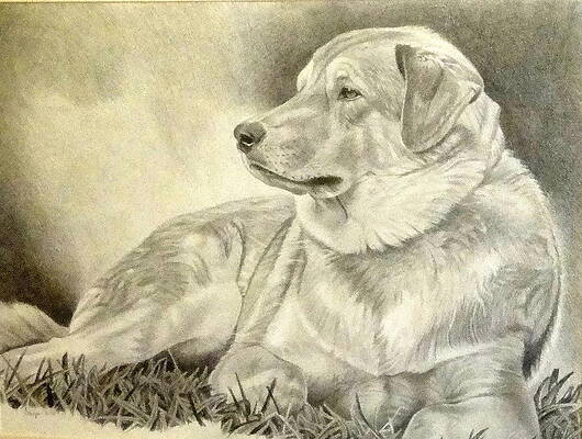 Best Friend by Melissa Atkinson