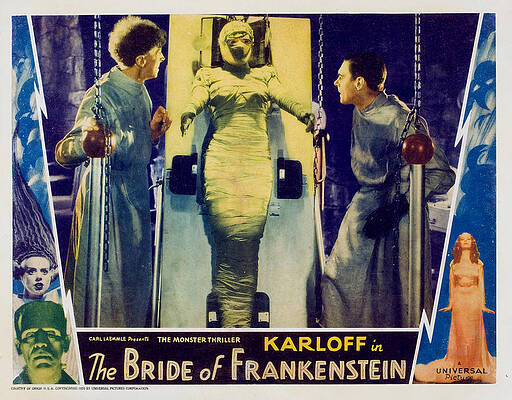 Wall Art - Photograph - Bride Of Frankenstein, Ernest by Everett