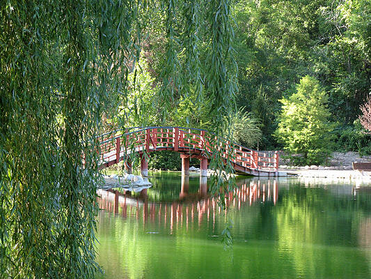 Bridge Beyond the Willows by Kimberly Mackowski Bridge Beyond the Willows by Kimberly Mackowski