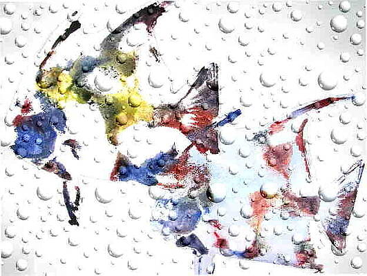 Bubble fish by Lori Chase Bubble fish by Lori Chase