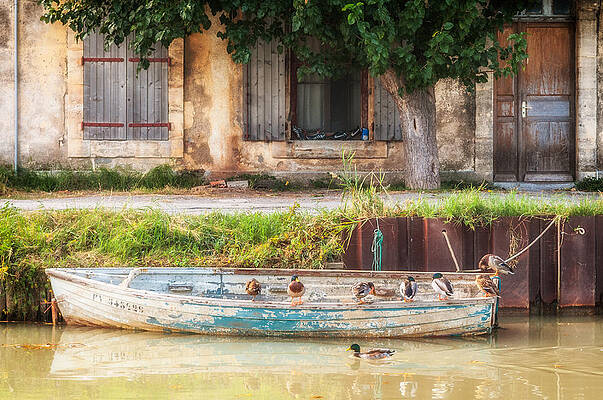 Bucolic scene by Philippe Taka Bucolic scene by Philippe Taka