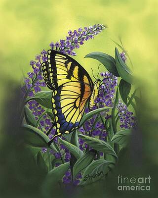 Butterfly 2 by Sharon Molinaro Butterfly 2 by Sharon Molinaro