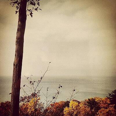 Wall Art - Photograph - Calm Waters by Michelle Calkins
