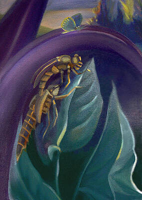 Wall Art - Painting - Card of Two Ancient Bugs by Nancy Griswold