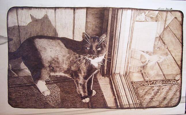 Cat by Michin Bouick