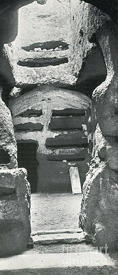 Wall Art - Photograph - Catacombs by Science Source