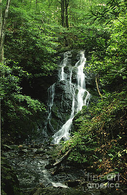 Cataract Falls in Smokies by Teri Brown Cataract Falls in Smokies by Teri Brown