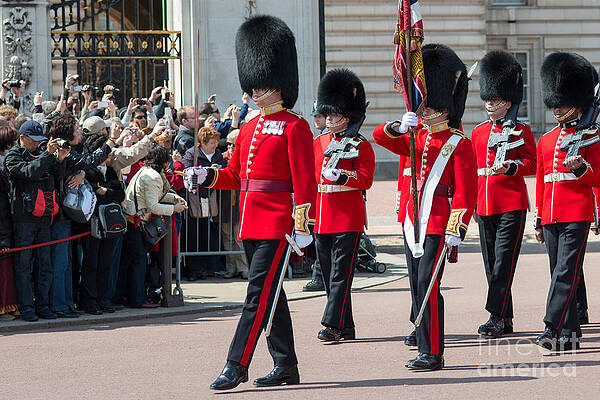 Changing of the guard at Buckingham palace by Andrew Michael Changing of the guard at Buckingham palace by Andrew Michael