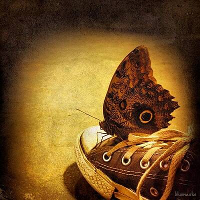 Wall Art - Photograph - Chuck T. And The Great Owl by Matthew Blum