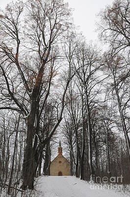Church in the Trees by David Sprawls